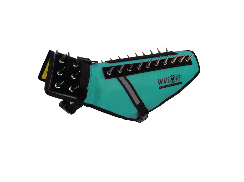 Turquoise pet vest with black spikes, D-ring leash clip, and adjustable straps