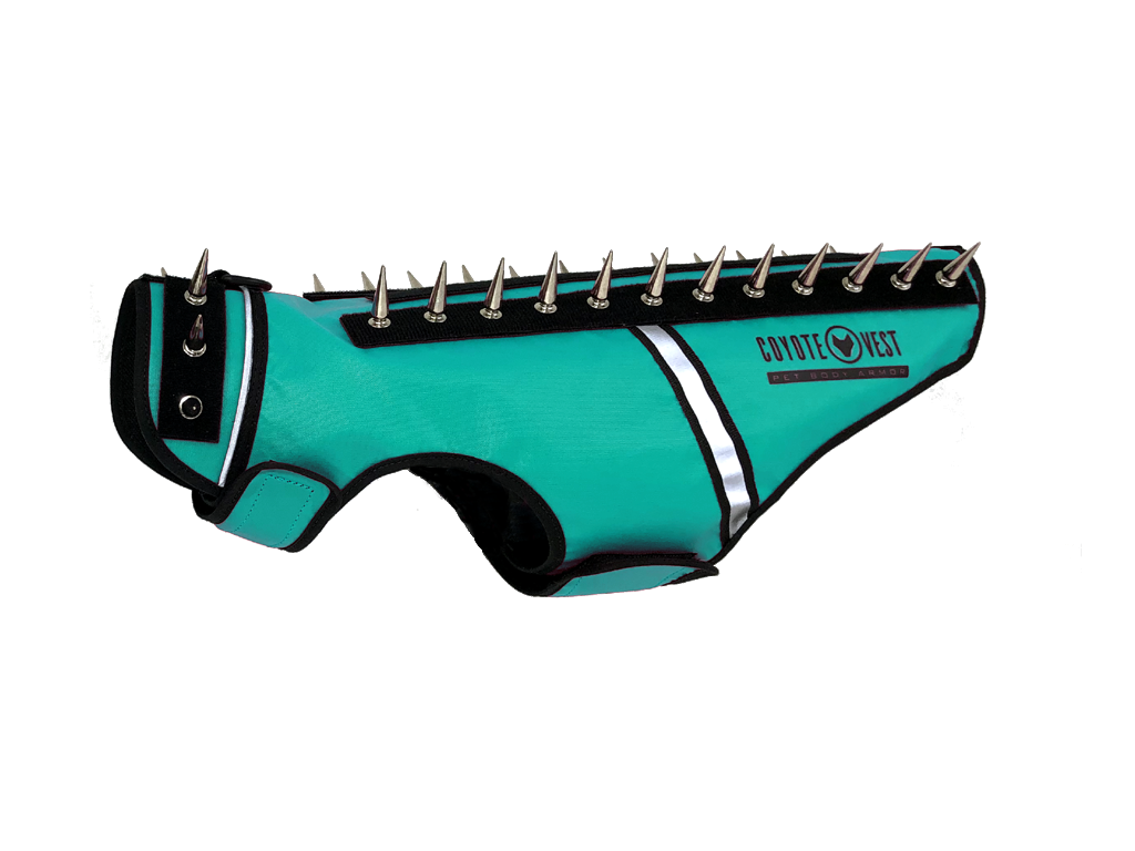 Cat spike vest in turquoise with black trim, white piping, and metal spikes across top