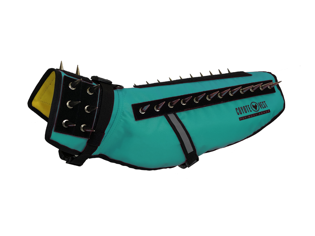Turquoise spiked dog vest with black studded strap panel and adjustable side buckles