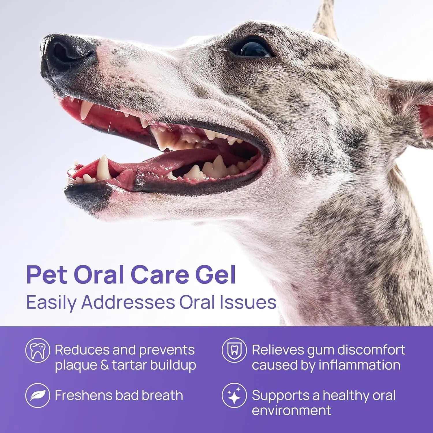 Gray-and-white dog with open mouth, featured pet oral care gel front label text.