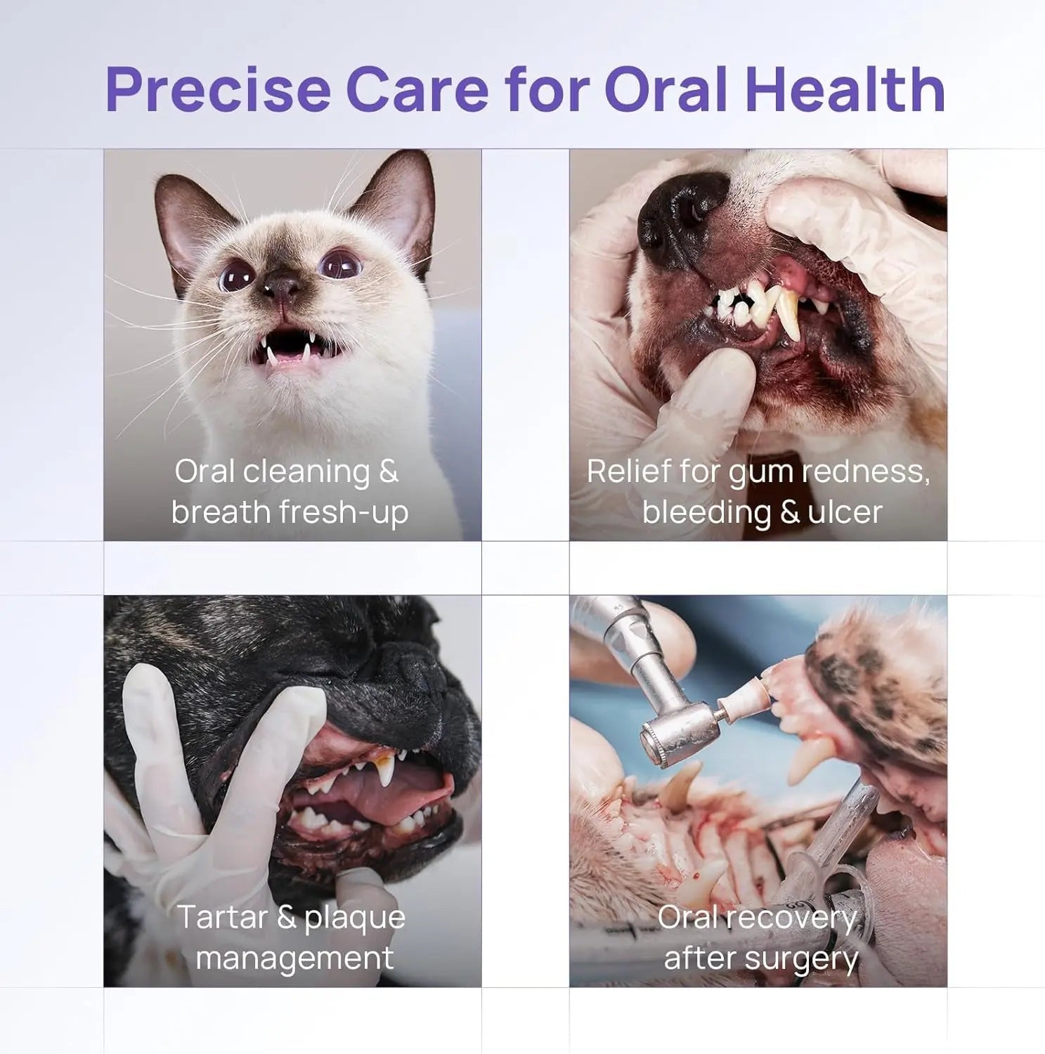 Collage showing pet oral care benefits: cat/dog mouths and treatment images.