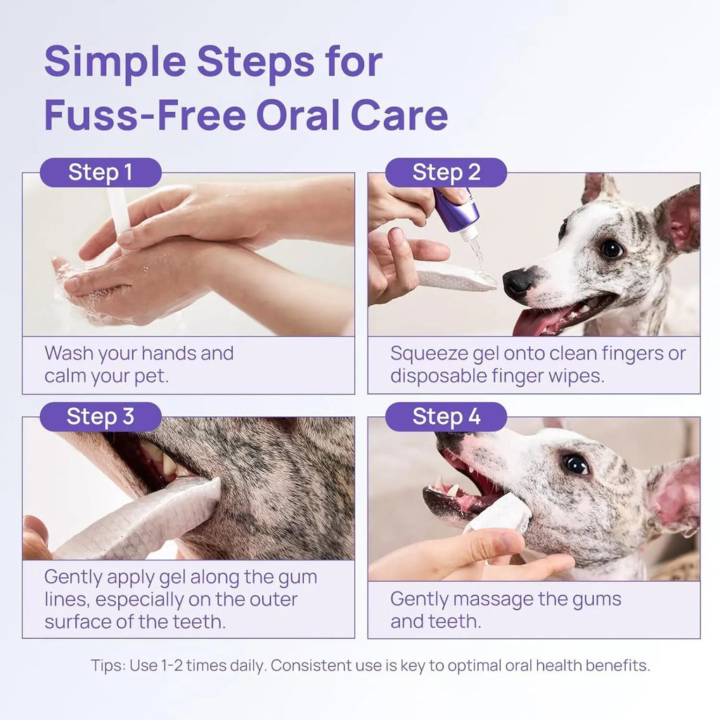 Step-by-step guide for applying pet oral care gel to a dog’s gums and teeth.