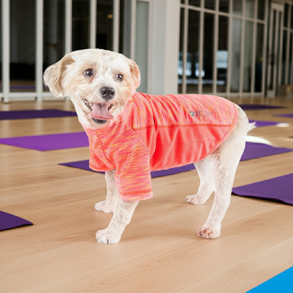 Orange heather dog t-shirt with long sleeves and stretchy fit