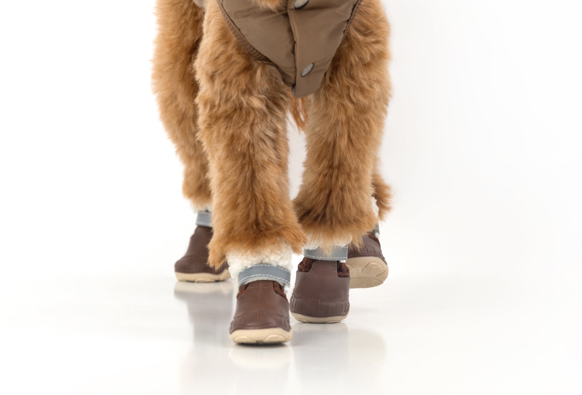 Brown dog snow boots on a pet, blue strap, faux-fur trim, and ridged rubber sole
