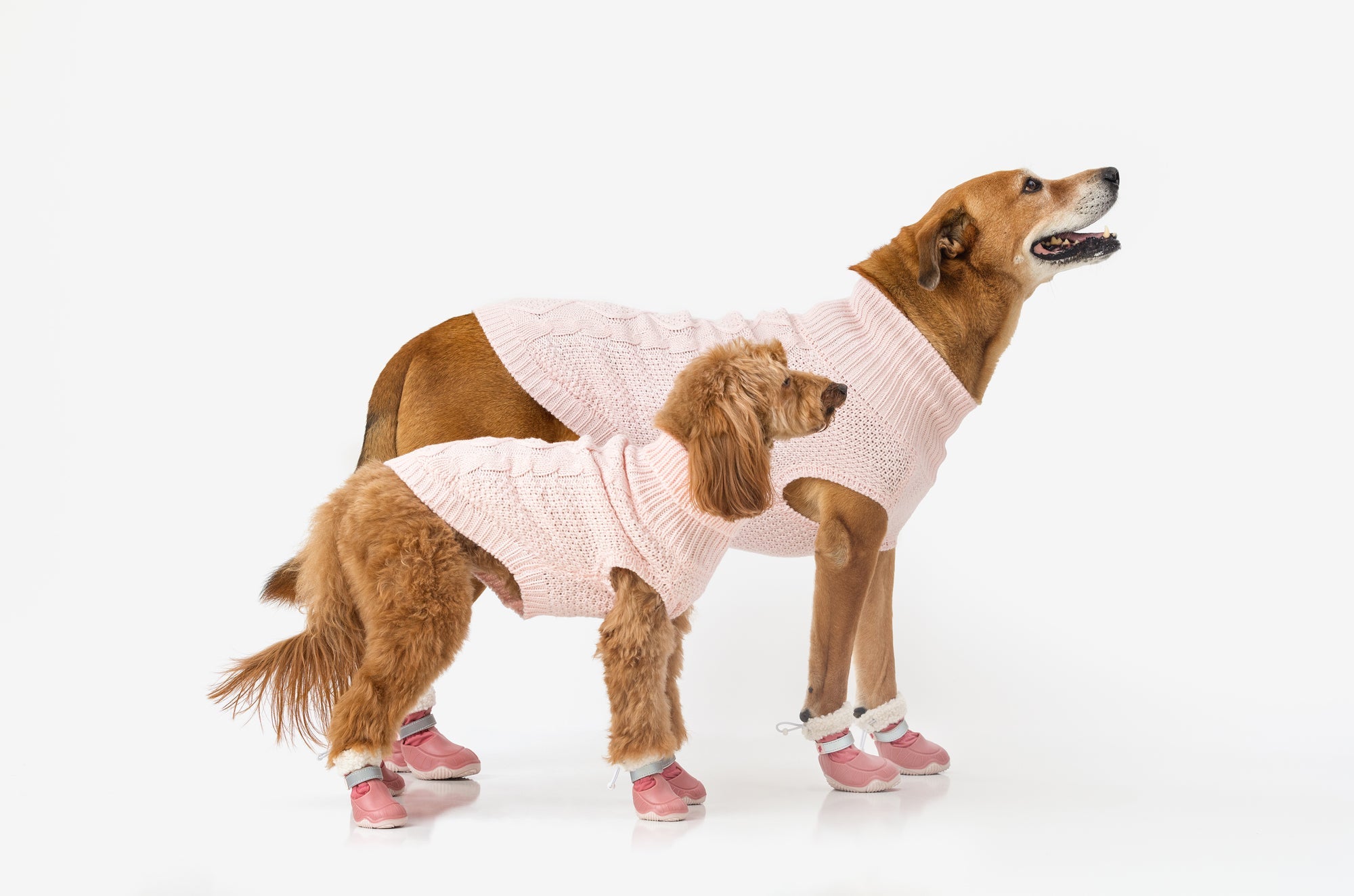 Pink dog snow boots on a pet, faux-fur cuff, blue strap, and chunky gripped sole