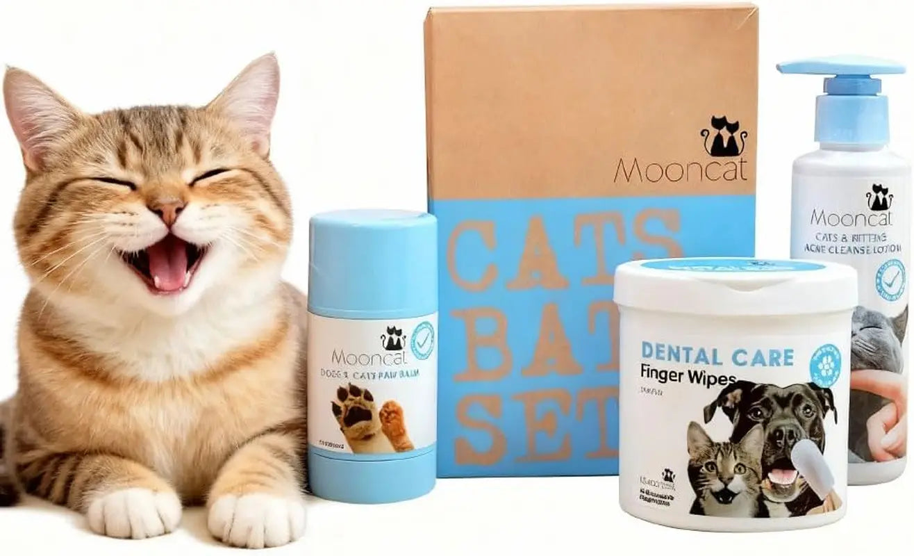 Waterless cat shampoo foam bottle with foam and tabby cat