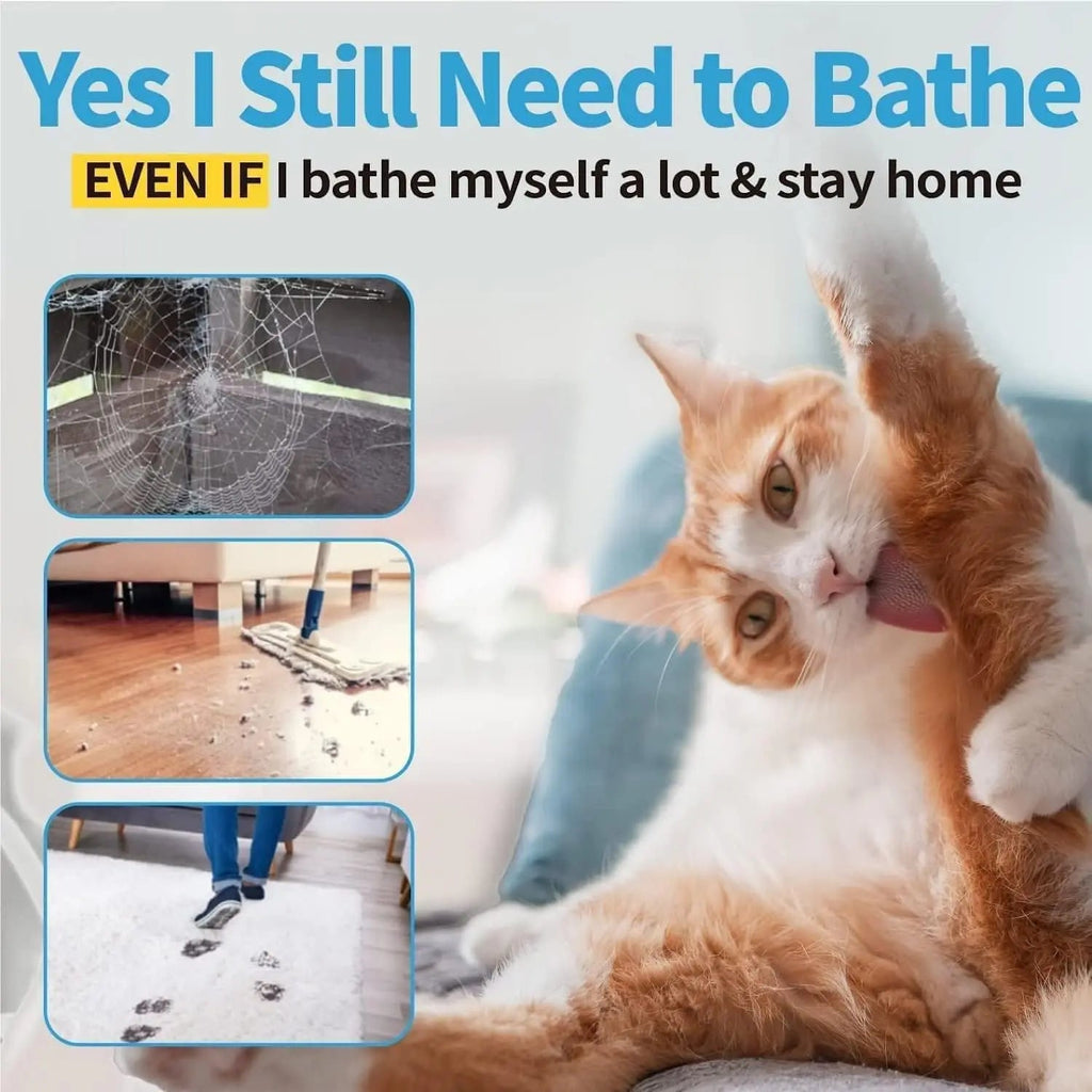 Orange cat with waterless grooming cleaning routine graphic