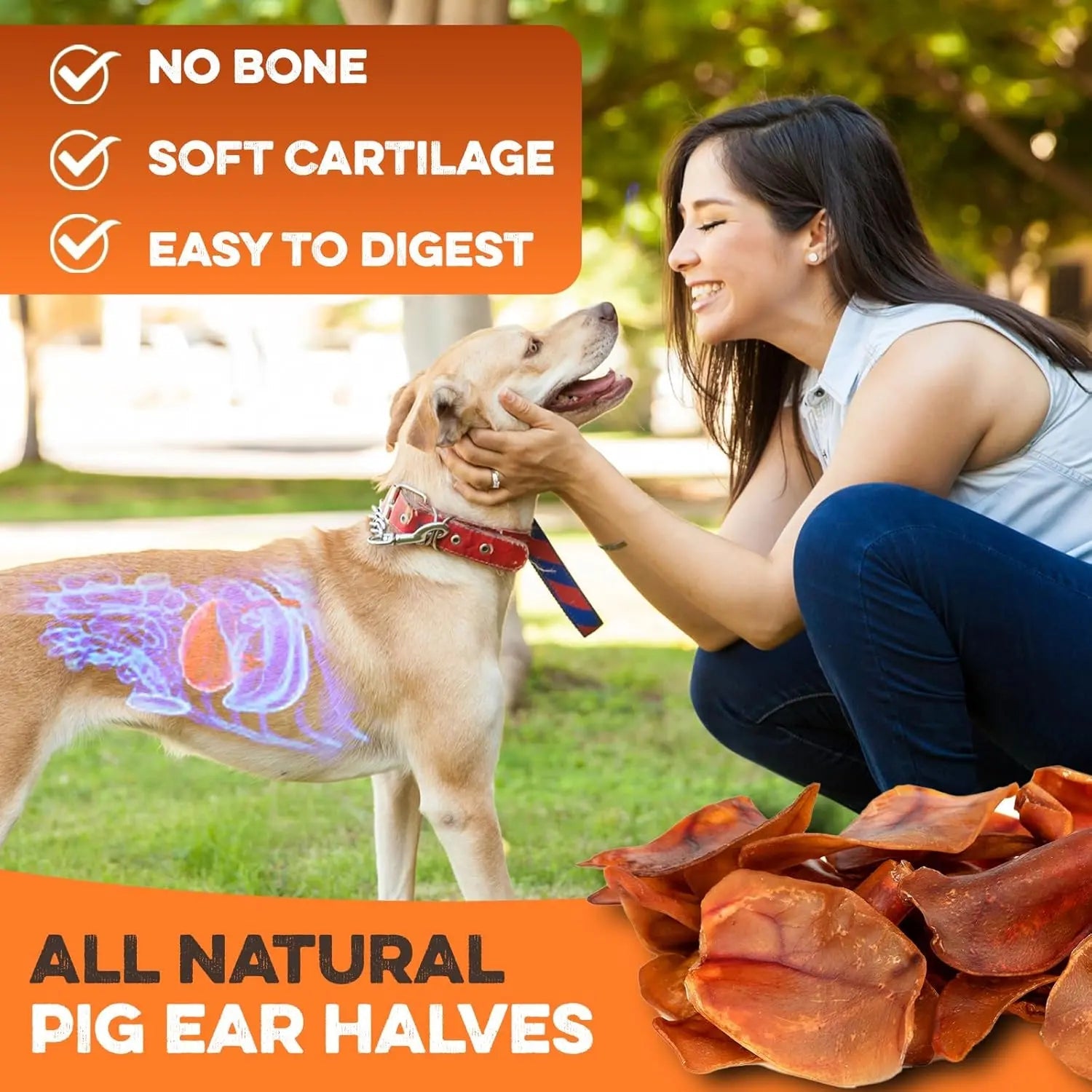 Pig ear halves pile beside dog being offered a chew treat