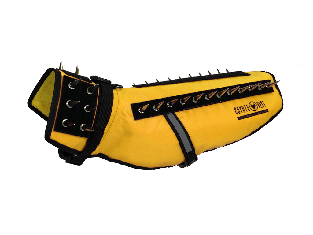 Yellow protective dog vest with black spikes on collar and back; adjustable straps