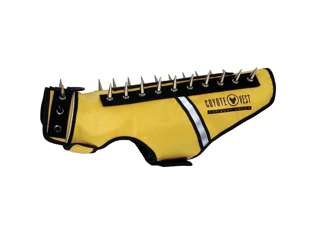 Yellow spiked cat vest with black straps, metal studs, and white trim stripe