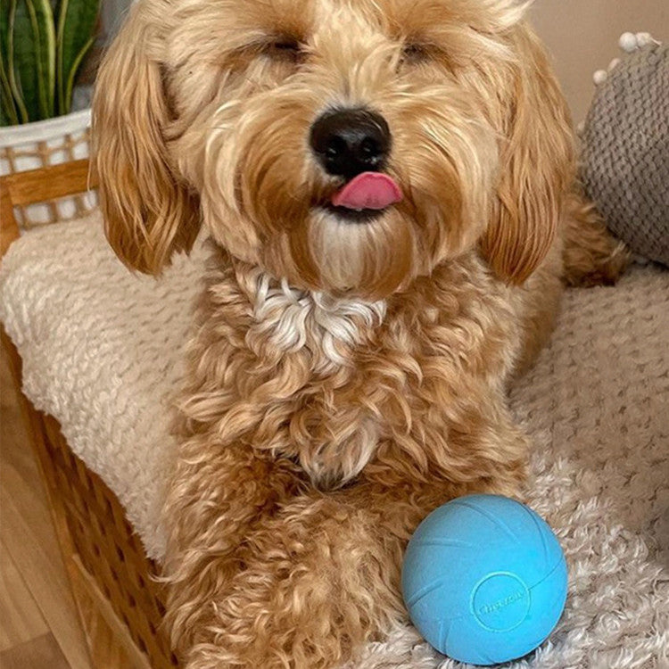 Cat Toys Smart Rolling Ball