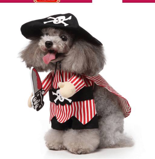 Pirate dog costume with black tricorn hat and red-striped skirt