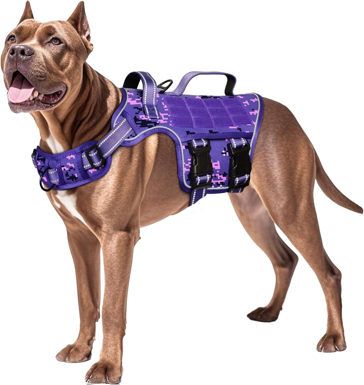 Purple camo tactical dog harness with chest padding and front control strap