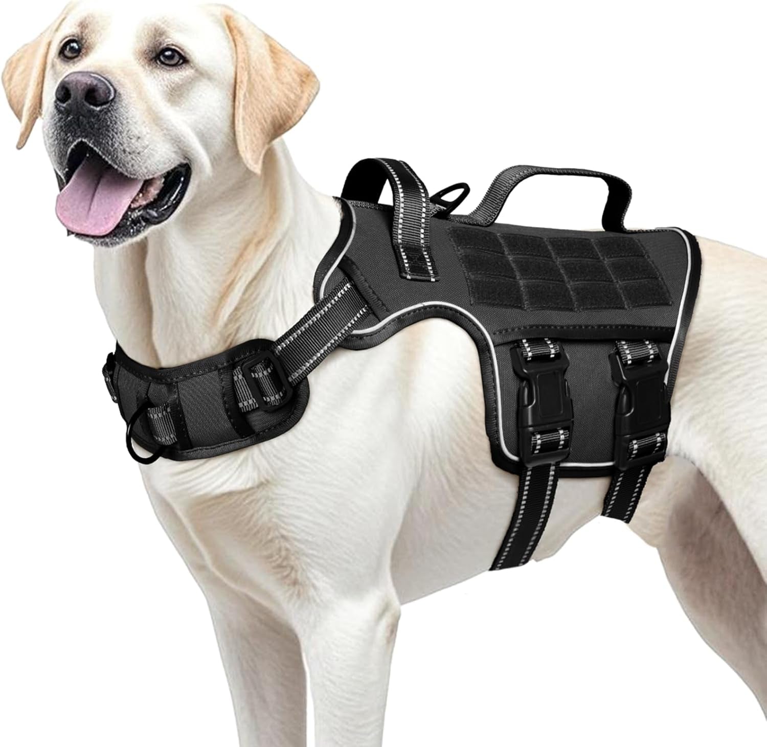 Black dog tactical harness with chest straps and dual side buckles