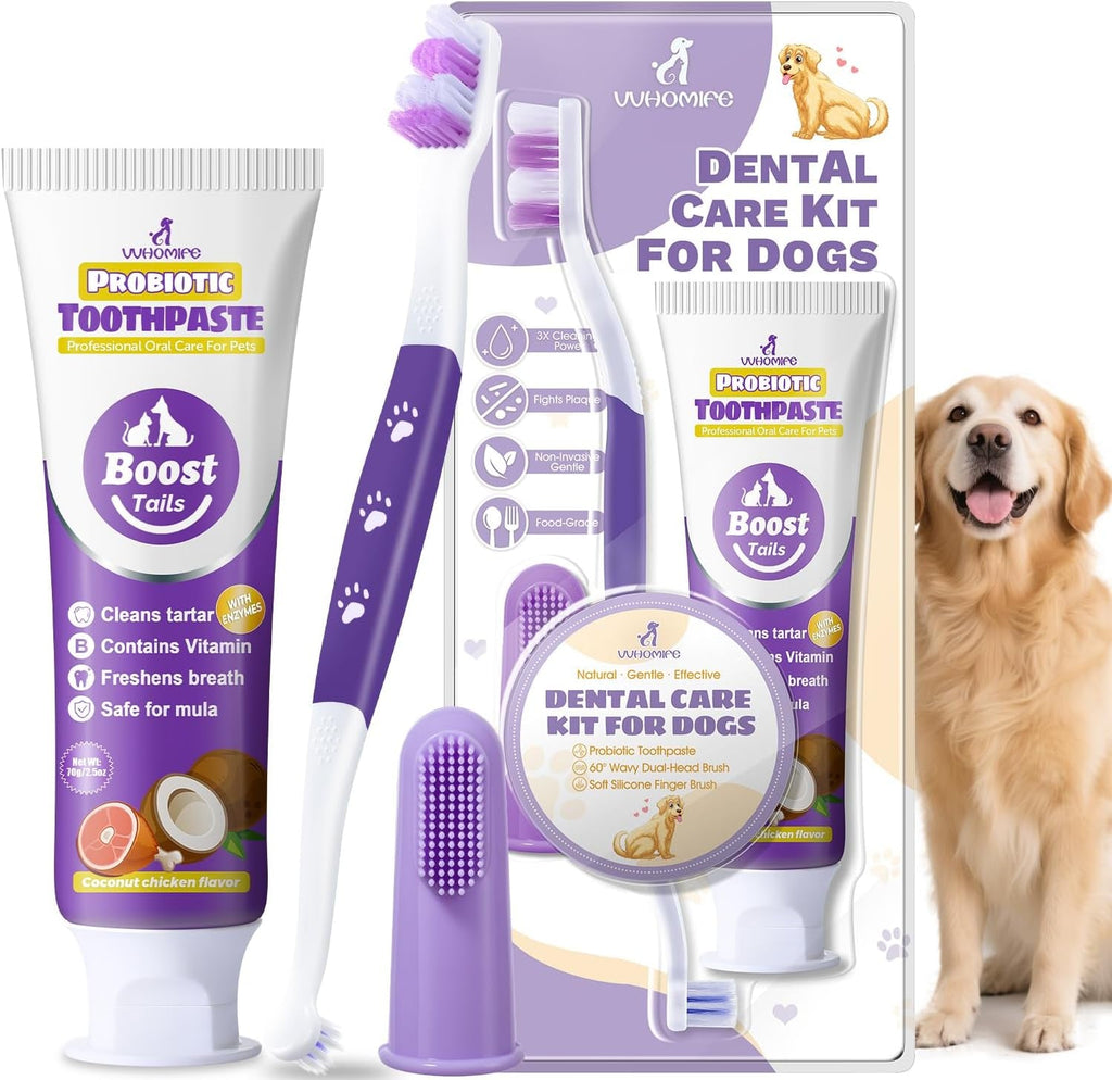 Probiotic dog dental care kit with purple toothbrush and boost tails toothpaste tube