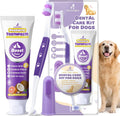 Probiotic dog dental care kit with purple toothbrush and boost tails toothpaste tube