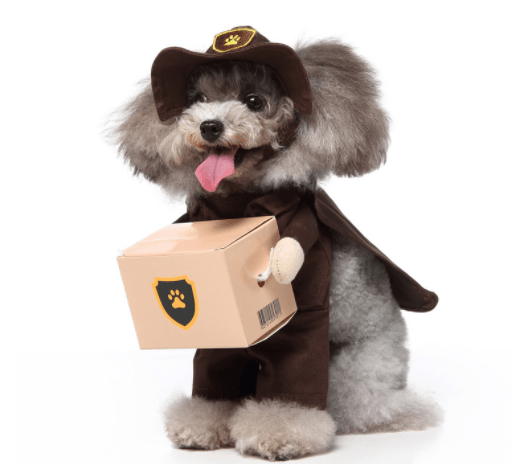 Brown cartoon dog pet costume set with hat and paw emblem for small dogs