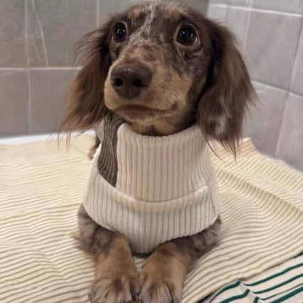 Pet knit sweater in cream with brown shoulder panel and ribbed turtleneck collar