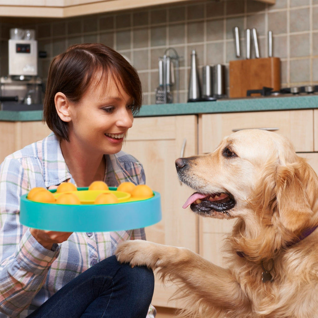 Slow feeding puzzle dog bowl with yellow interior and orange treat pods, teal outer ring
