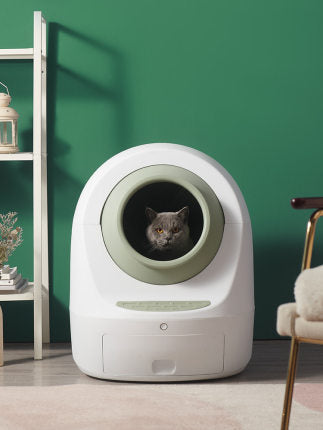 Automatic enclosed smart cat litter box with circular entry and black cat inside