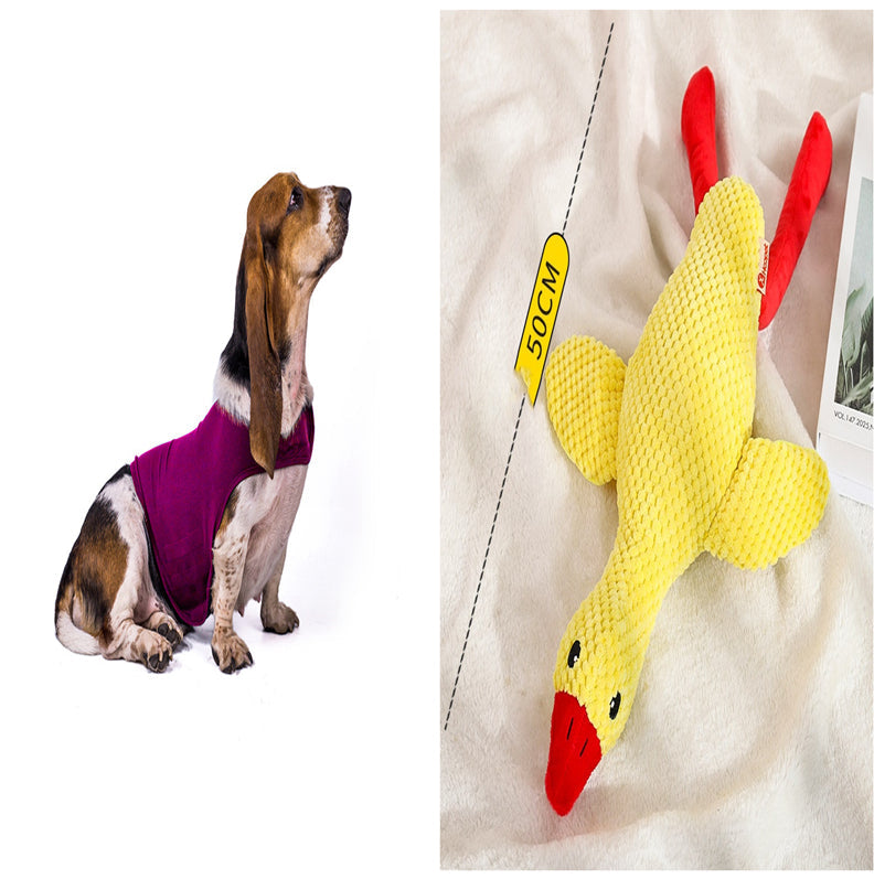 Pet calming anxiety vest in purple, worn by a sitting dog.