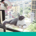 Grey-and-white cat lying on beige mesh window hammock with suction cup brackets