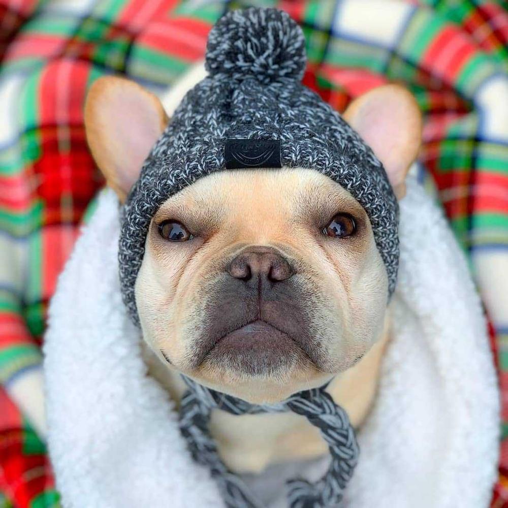 Cozy Knitted Pet Hat with Fluffy Pom-Pom — Winter Warm Beanie for Dogs & Cats