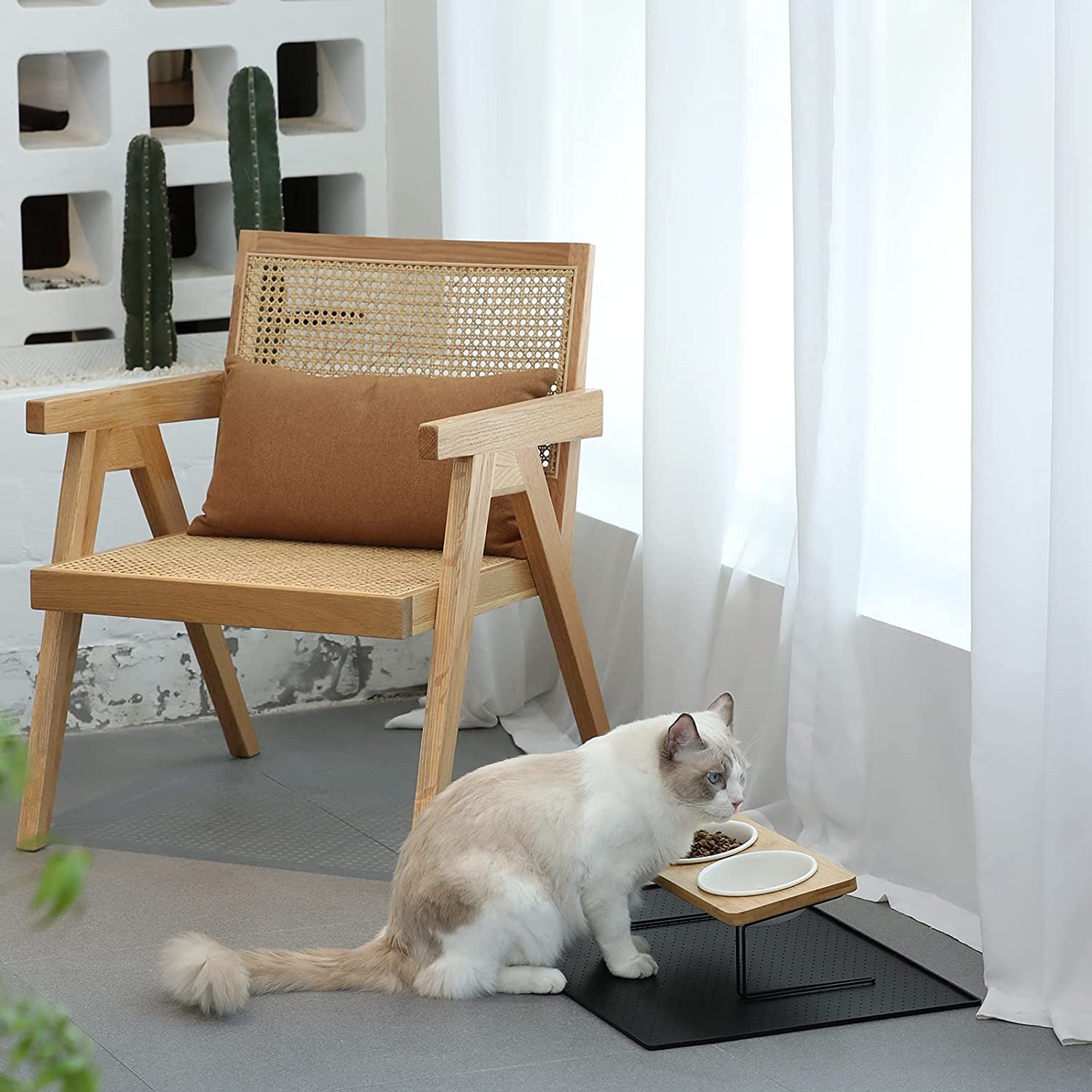 Cat drinking from white ceramic water bowl on black metal base with wooden top