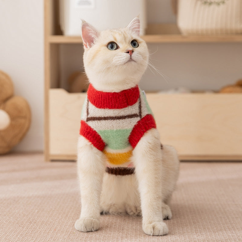 Cat wearing pet sweater, multicolor striped knit with red collar and star appliques
