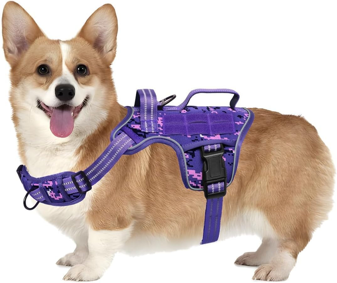 Dog tactical harness vest in purple camouflage with padded chest panel and front buckles