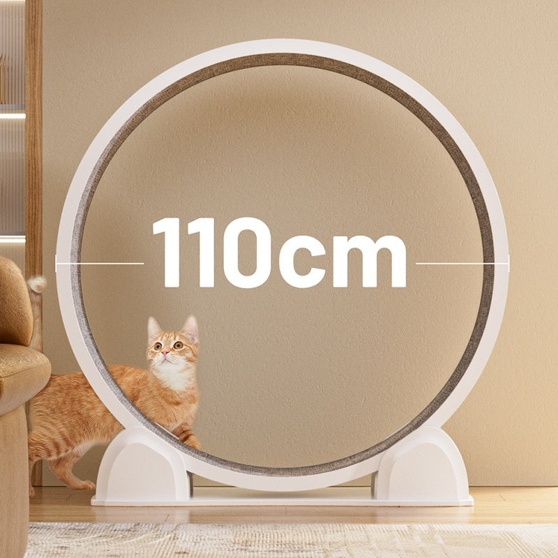 White circular pet treadmill with dark tread belt and sitting orange cat