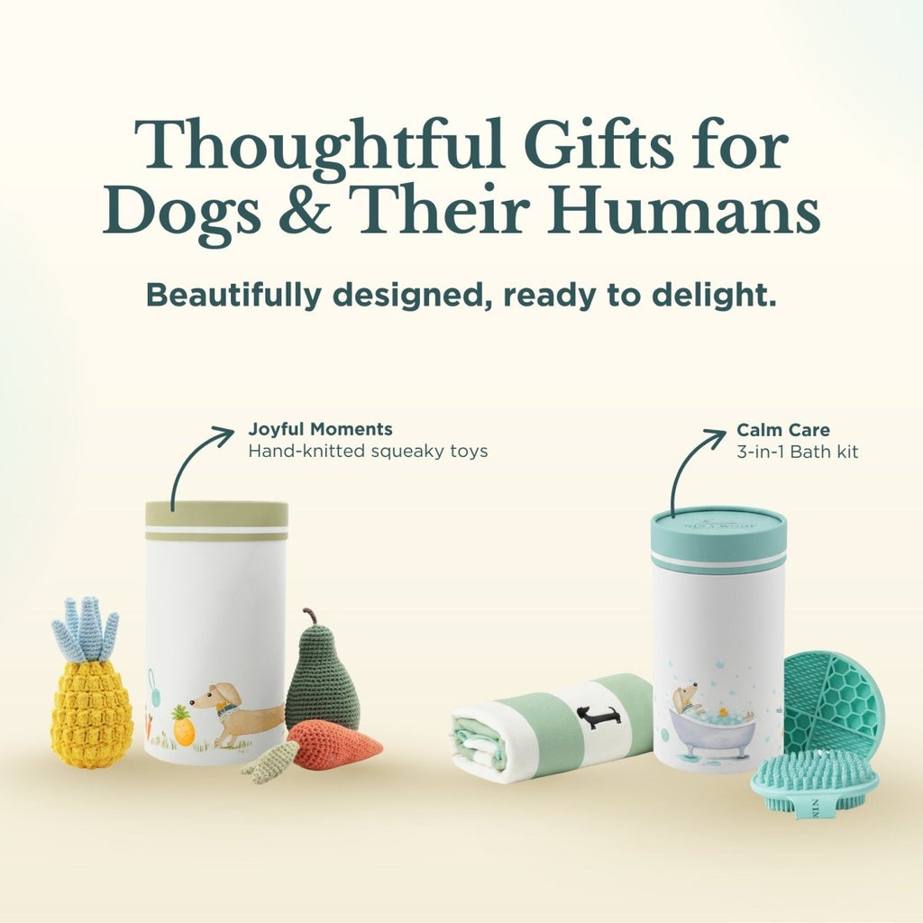 Dog bath kit set with mint container, rolled towel, teal lick mat, and silicone brush