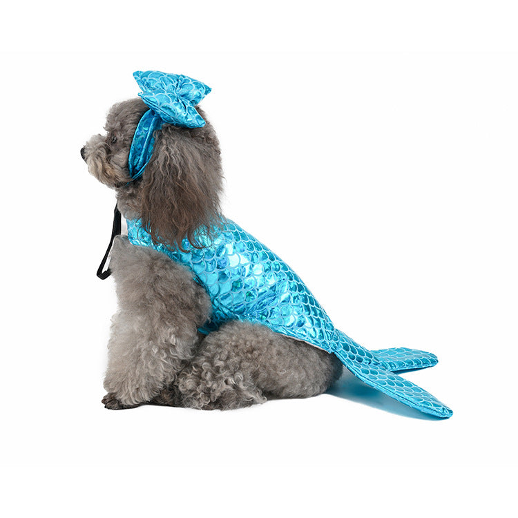 Small dog in a blue mermaid pet costume, seated with tail fin extended