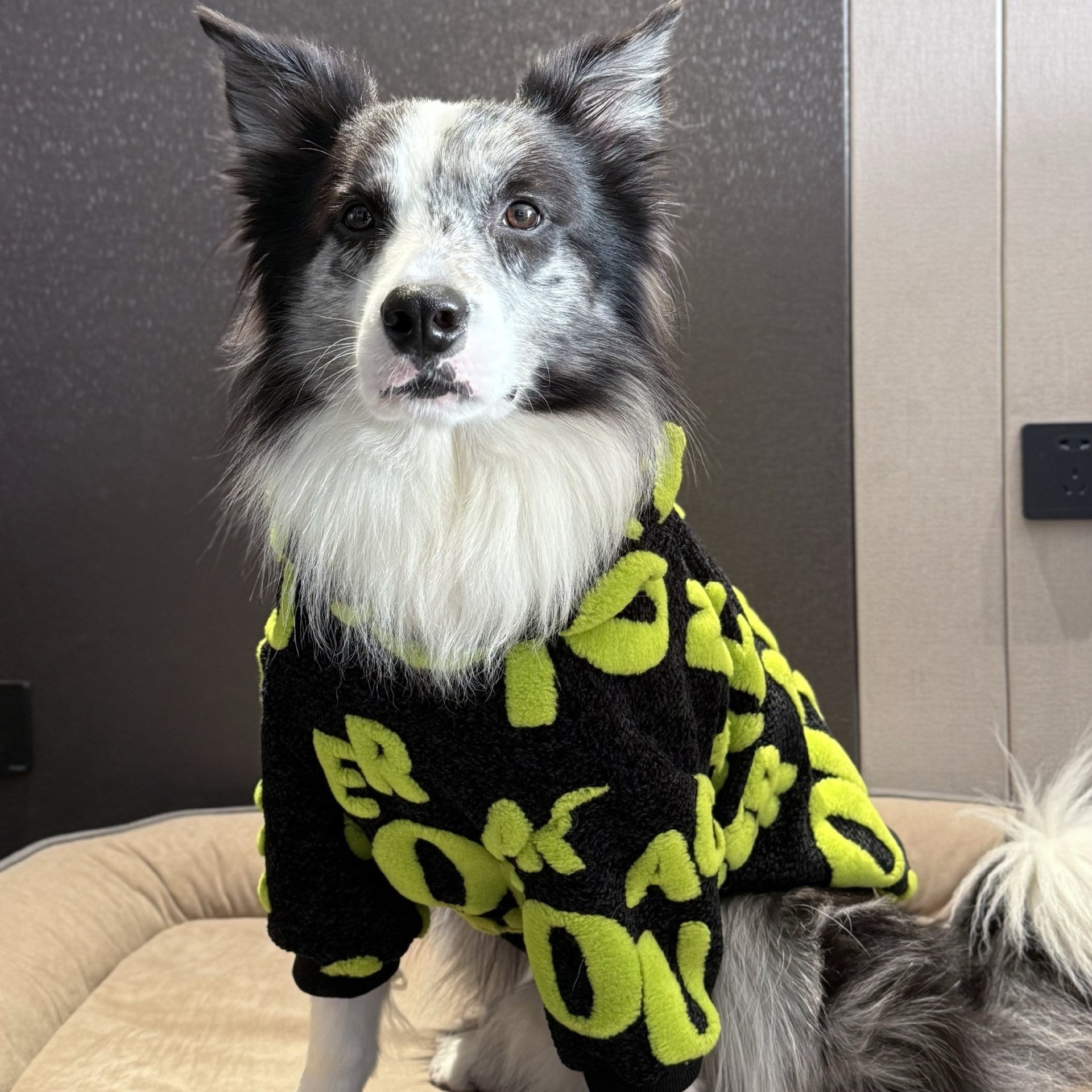 Black and lime green patterned dog hoodie with fuzzy collar
