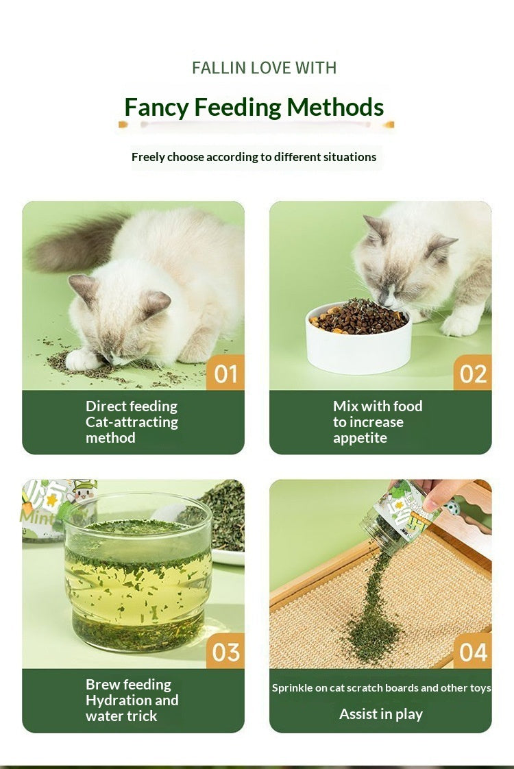 Catnip Cat Grass Treats