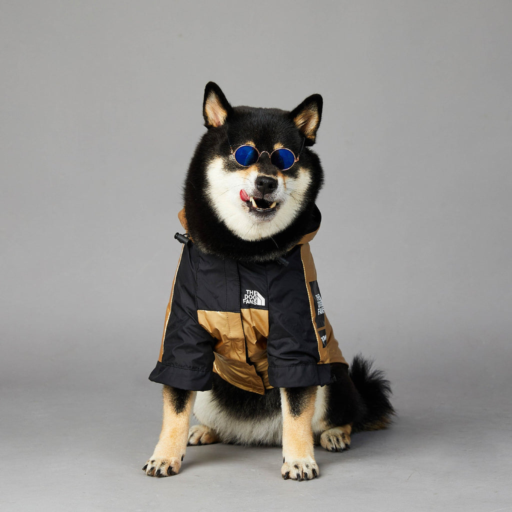 Gold and black dog raincoat with hood, front zipper and paneling
