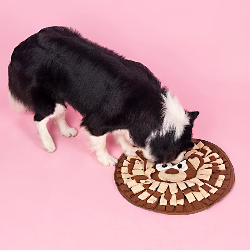 Snuffle Mat Feeding & Foraging Stress Relief Puzzle Toy