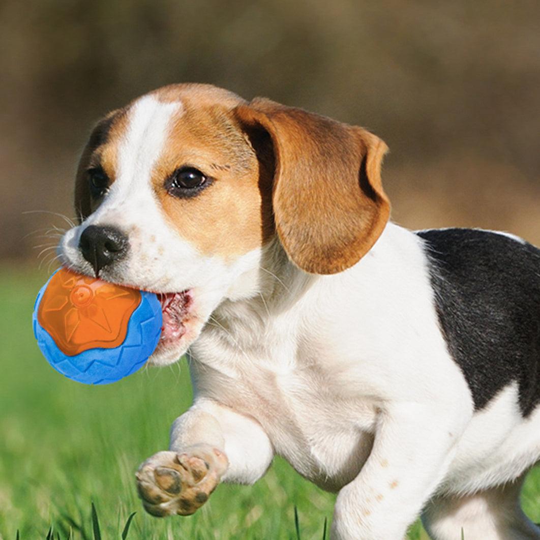 Blue and orange glowing audible dog toy ball with textured ridges, held in a dog’s mouth