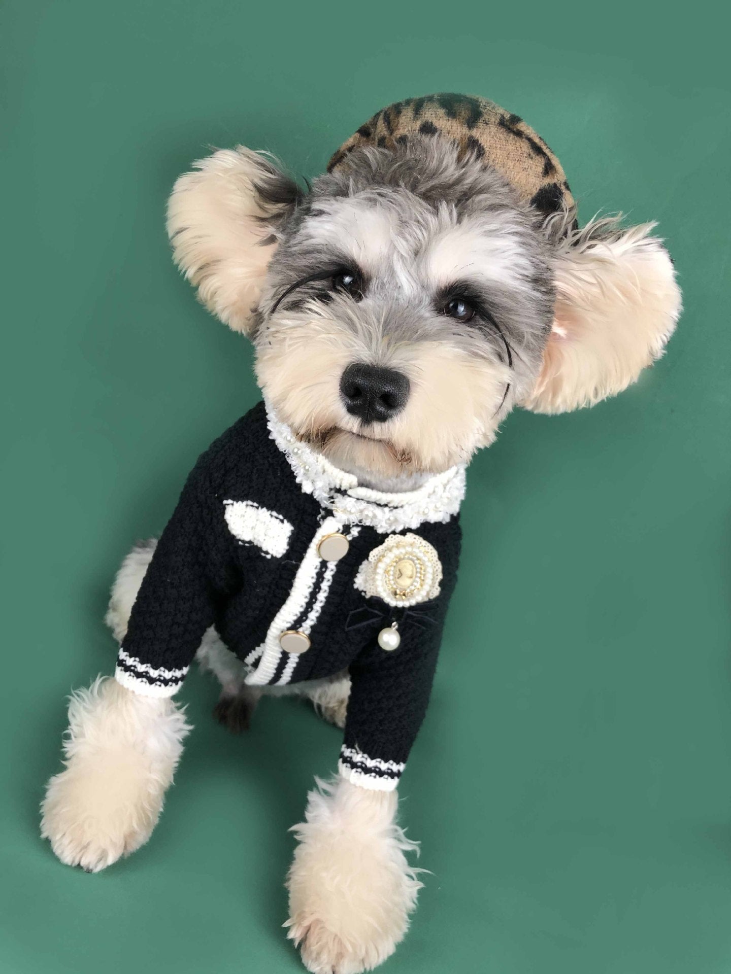 Pet knit cardigan sweater in black with white trim, heart pin and pearl details