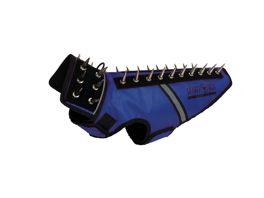 SpikeVest dog vest in royal blue with black spike collar and metal studs, black trim