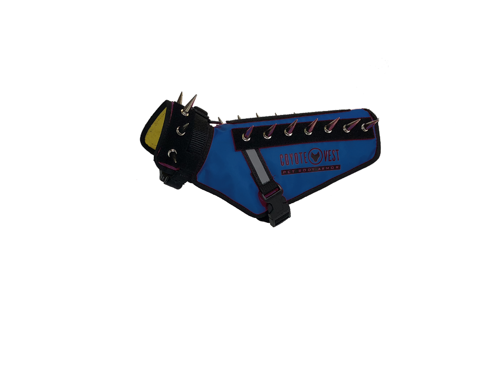 Royal blue pet vest with black spikes, D-ring leash clip, and adjustable straps