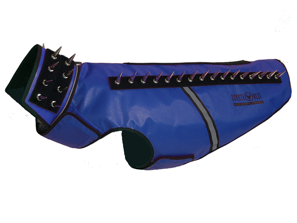 SpikeVest padded dog vest, royal blue with black spikes and ringed collar