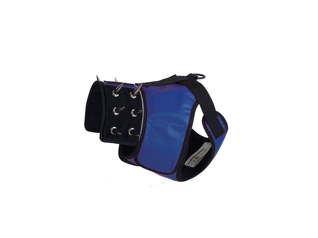 Dog harness with black base and royal blue padded front panel, metal ring snaps