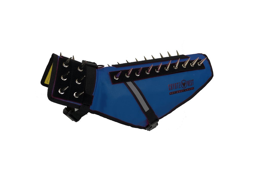 Dark blue spiked dog safety vest with black strap closure and metal prongs