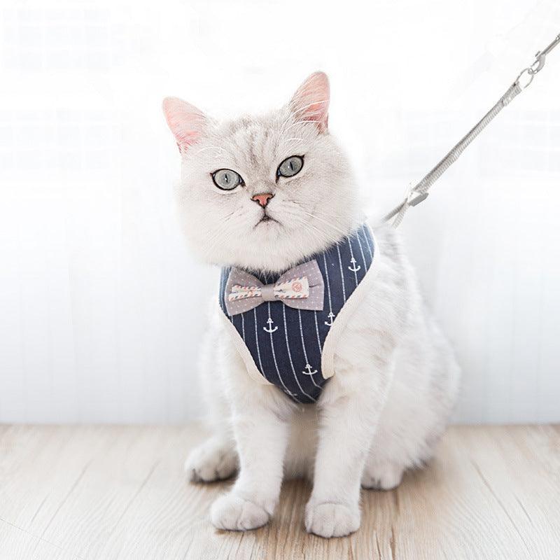 White cat in navy anchor mesh harness with bow tie and short visible leash