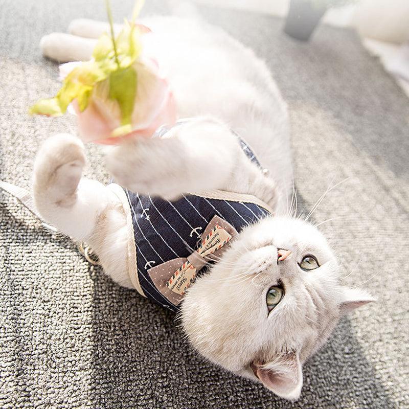 White cat wearing navy anchor mesh harness with bow tie
