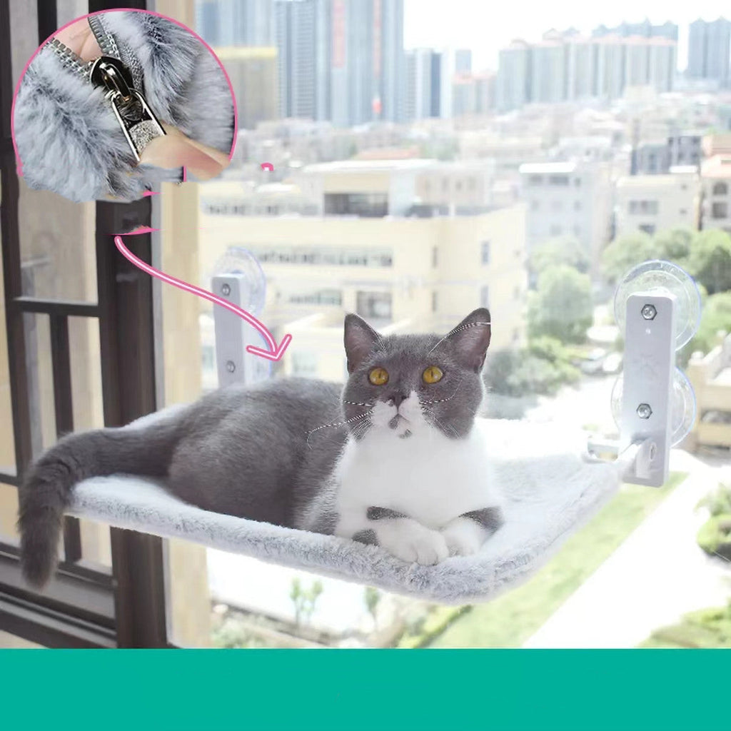 Grey-and-white cat on grey plush window hammock with suction cup brackets