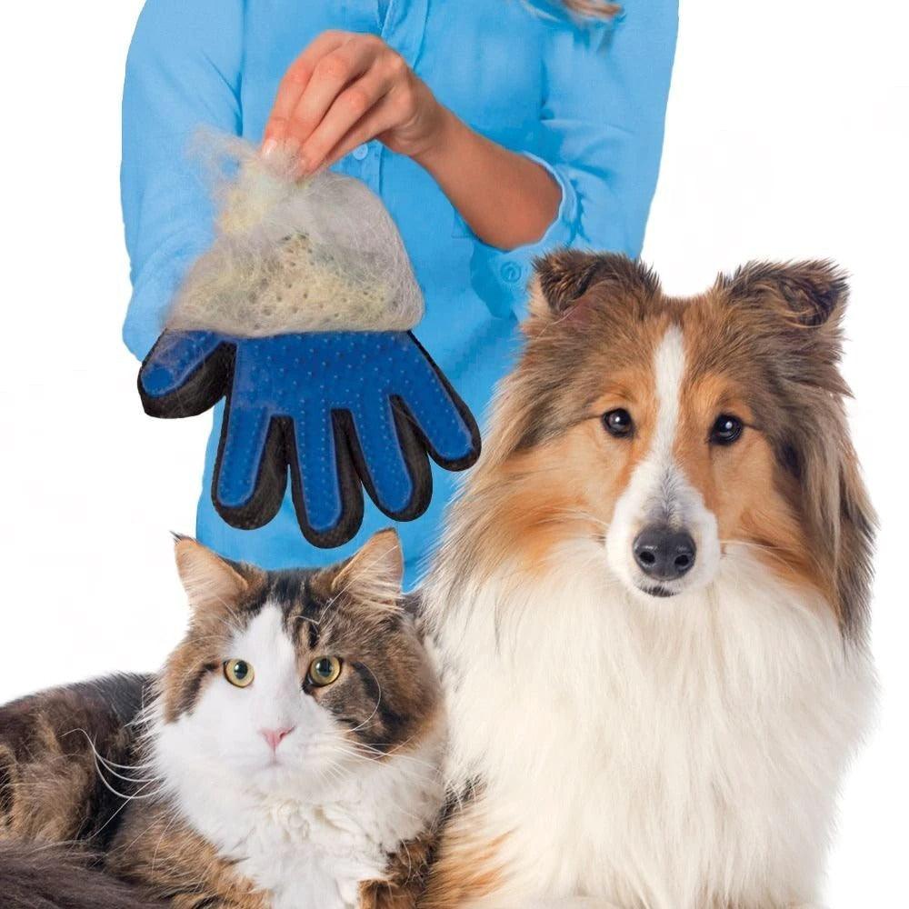 Blue pet grooming glove with rubber nubs; brushing a cat and a large dog.