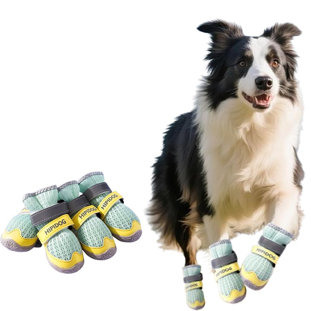 Border collie wearing four green and yellow mesh dog boots with Velcro straps
