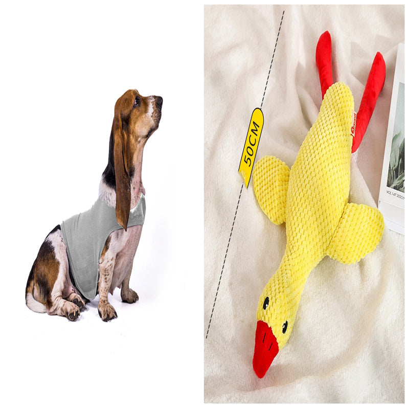 Pet calming anxiety vest in gray, worn by a standing dog.